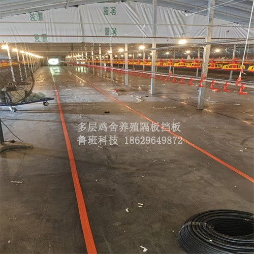 鸡舍养殖隔层板
